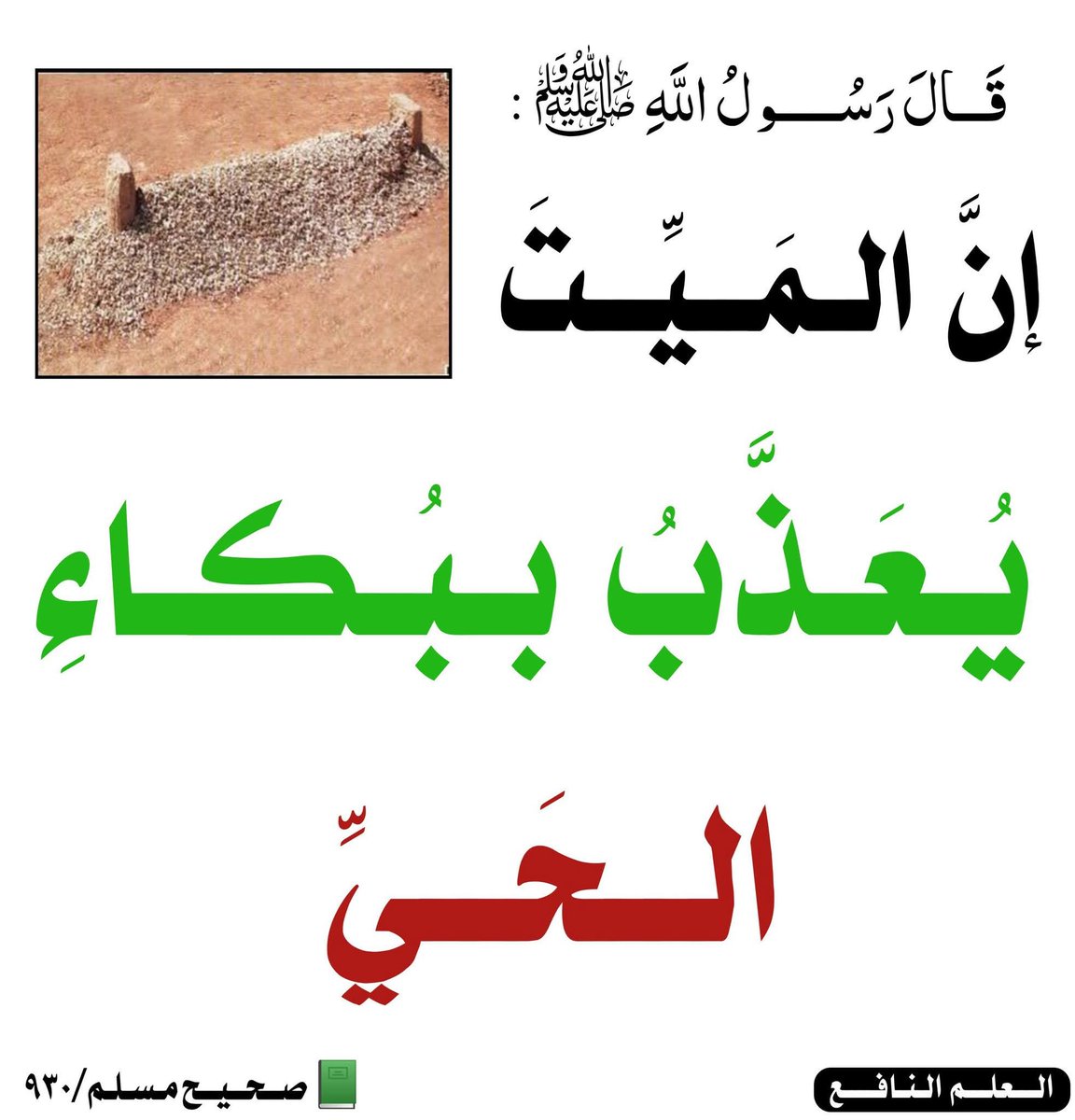 الكتابُ والسُّنة tweet media