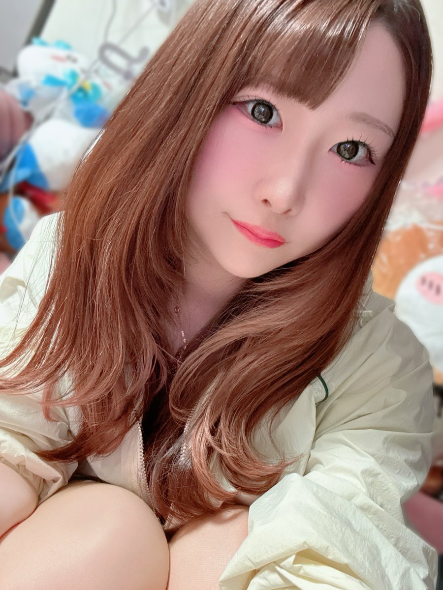 🐾しゃんぷー🐾 tweet media