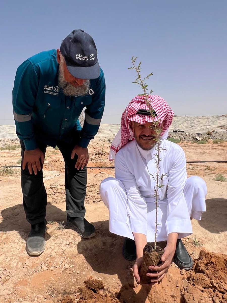 ALMISNID's tweet photo. جهود وزارة الصناعة والثروة المعدنية في الاستدامة البيئية
(ممثلة بالشركة السعودية لخدمات التعدين #إسناد)
• الموقع المستهدف: مواقع الرخص ومحيط مجمع #العوشزية التعديني جنوبي #عنيزة.
• الهدف المرحلي: زراعة 10,000 شجرة في المجمع.
• الأنواع المزروعة: (الطلح، القرض، الأثل)، وذلك بالتنسيق مع المركز الوطني لتنمية الغطاء النباتي لضمان ملاءمتها للبيئة المحلية.
• إنجازات القطاع التعديني:
• زراعة أكثر من 4 ملايين شجرة في مختلف مناطق المملكة.
• منها 1.9 مليون شجرة زُرعت خلال عام 2025م.
• التشريعات والمشاركة المجتمعية:
• إلزام كل مرخص بزراعة 3,000 شجرة في عموم المجمعات التعدينية بالمملكة.
• تفعيل دور المرخصين وتوسيع مشاركتهم كجزء من مسؤوليتهم المجتمعية ودعمهم للبيئة.