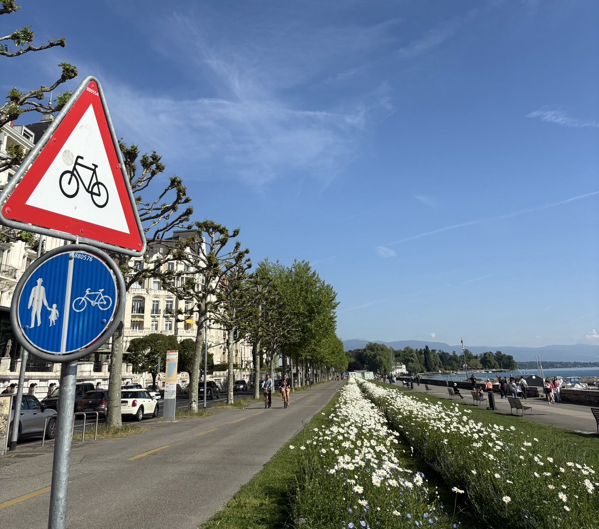 GmurHelen's tweet image. #Weekend #Vibes #Flowers #Beach
#Run #Runners #Friends 14Km👟
#Restaurant de la plage Le Reposoir
It feels like being on #holiday ☀️🕶️
#Geneva #Switzerland 🇨🇭