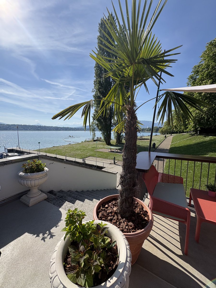 GmurHelen's tweet image. #Weekend #Vibes #Flowers #Beach
#Run #Runners #Friends 14Km👟
#Restaurant de la plage Le Reposoir
It feels like being on #holiday ☀️🕶️
#Geneva #Switzerland 🇨🇭