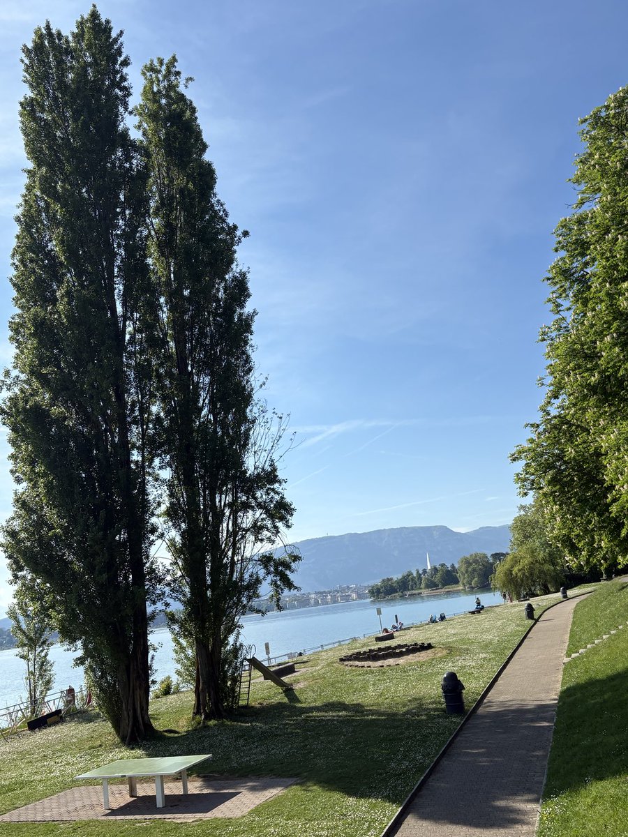 GmurHelen's tweet image. #Weekend #Vibes #Flowers #Beach
#Run #Runners #Friends 14Km👟
#Restaurant de la plage Le Reposoir
It feels like being on #holiday ☀️🕶️
#Geneva #Switzerland 🇨🇭