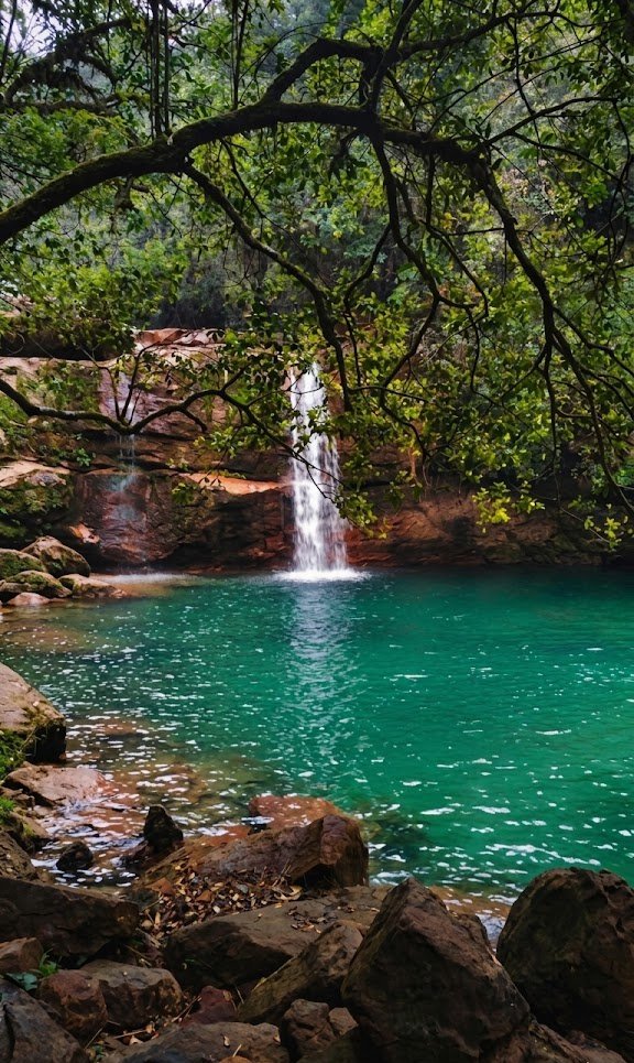 AAI Shillong Airport tweet media