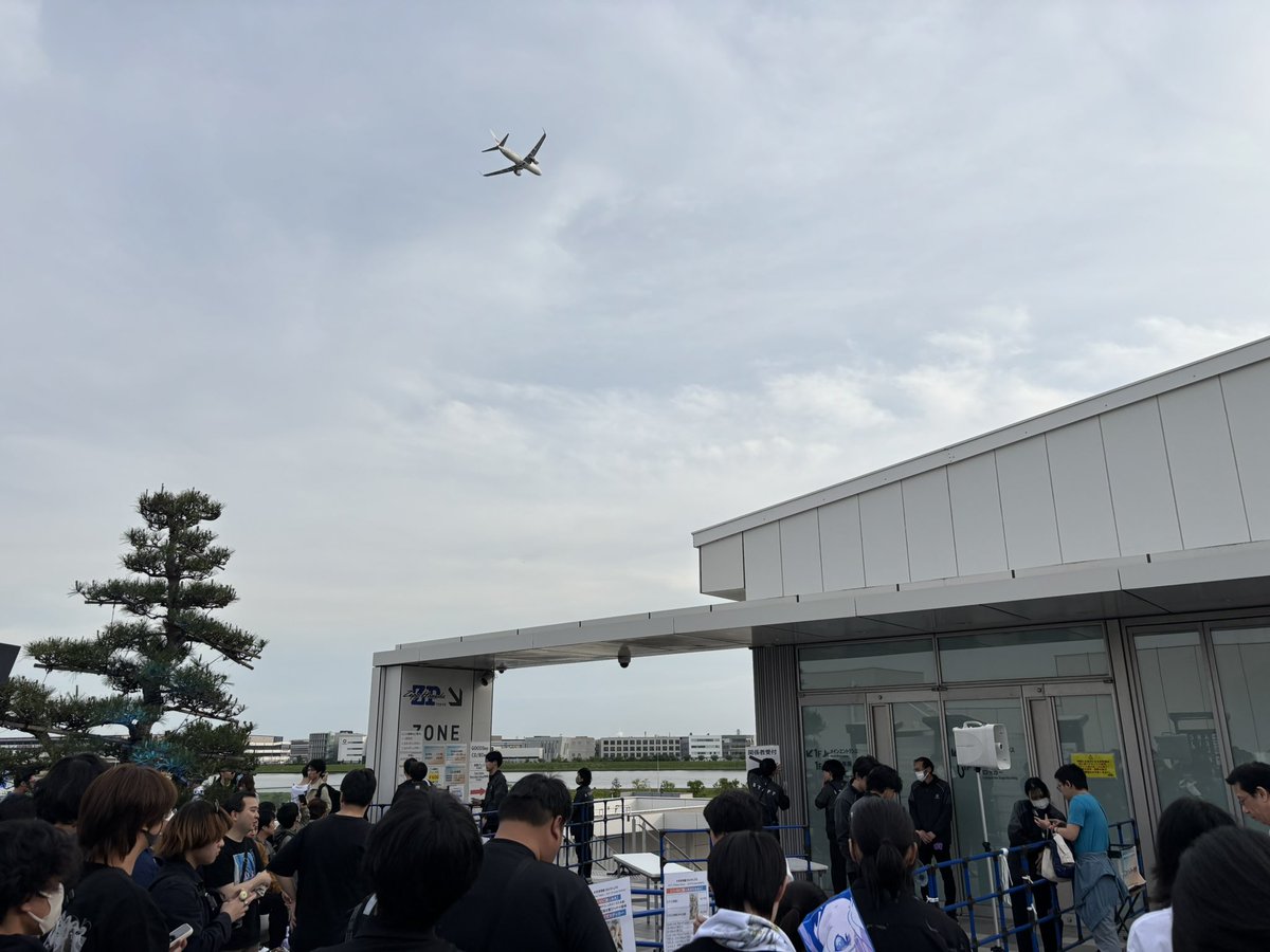 Bonoron_Alpha's tweet photo. ライブ〜！ https://t.co/Yy9PeaJME2