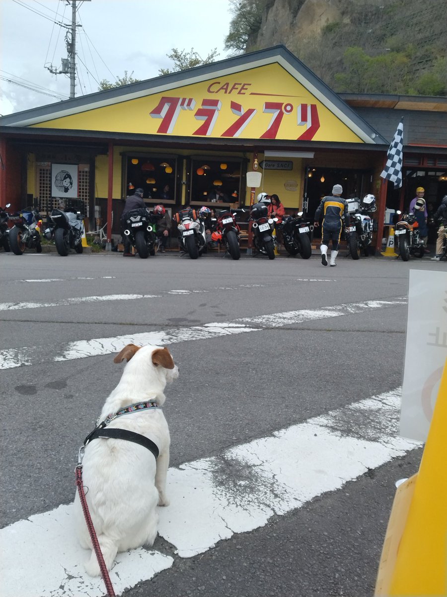 Mbdi2q29vpO2ZHi's tweet photo. 親友とグランプリ🏁に行って来ました!フル装備食べました🍔
#ツマコイナルド
#Ninja https://t.co/4fK0UDLWFS