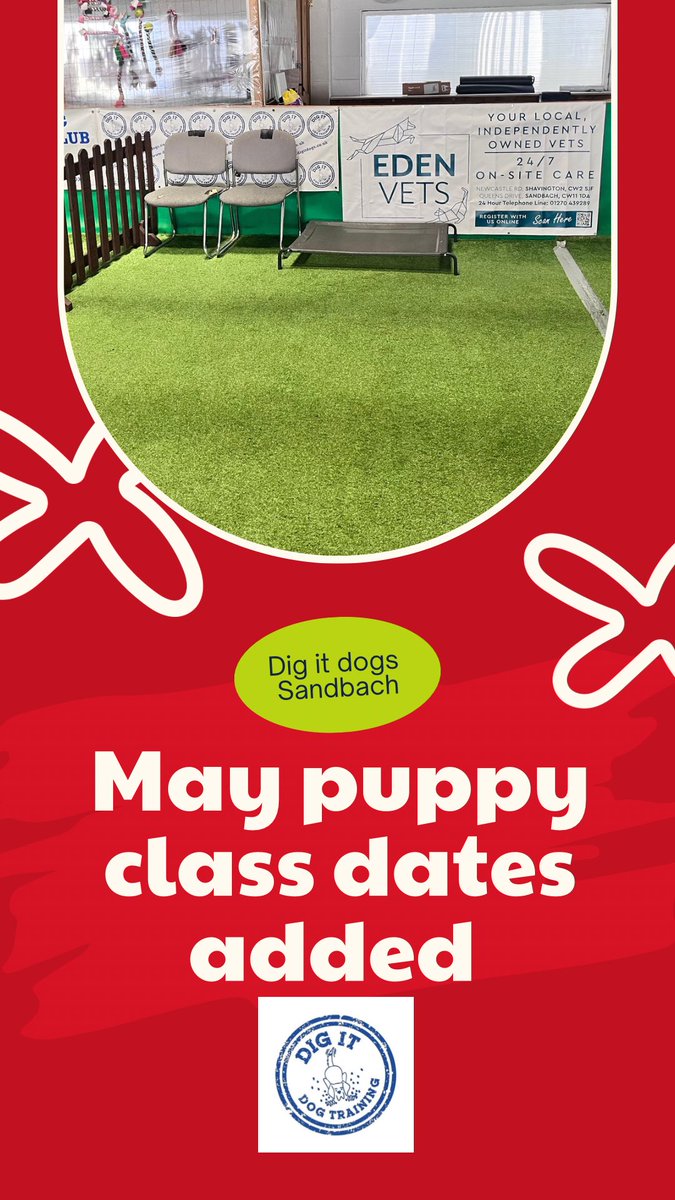 DigItDogs's tweet photo. 🐕 Got a new puppy? Start them off on the right paw!

🐾 Monday 11th May at 5:30 pm. 
🐾 Wednesday 13th May at 12:15. 
🐾 Sunday 17th May at 1 pm. 
🐾 Monday 18th May at 7:30 pm. 
🐾 Friday 29th  May at 1 pm.

📅 Dates and links to book 👇 

🔗 https://t.co/4w5sMY93bv https://t.co/cg3jPXu0um