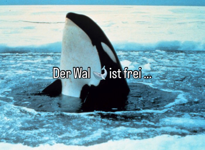 Glückwunsch 🎉🍾🎈🎊 für die Eilmeldung … es lebe die Freiheit - und endlich ist wieder Ruhe!
#timmy