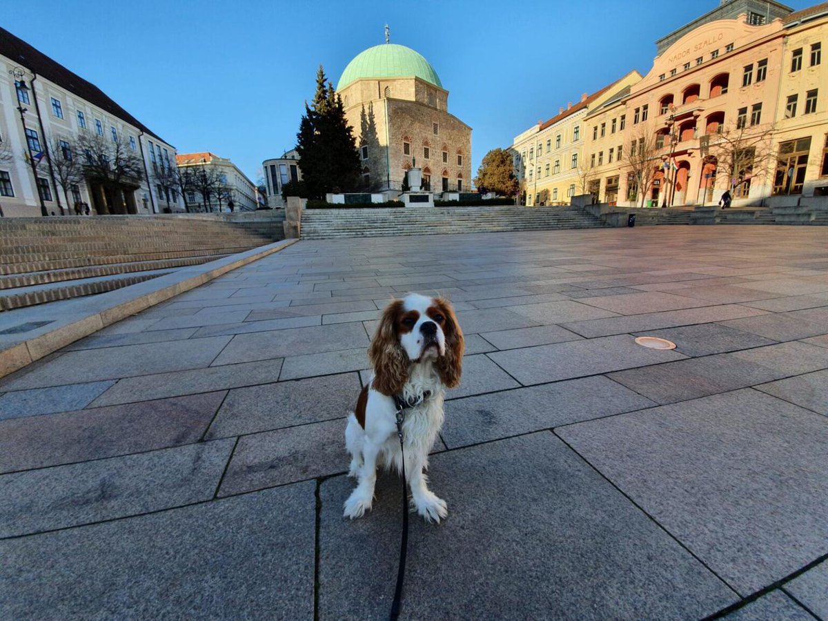 RJonTourUK's tweet image. Pecs is one of my favourite cities in Hungary. Find out what's in the city on my #travelblog post.

rjontour.com/pecs-hungary/