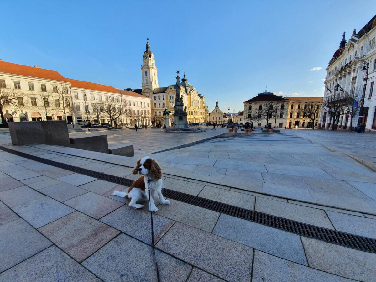 RJonTourUK's tweet image. Pecs is one of my favourite cities in Hungary. Find out what's in the city on my #travelblog post.

rjontour.com/pecs-hungary/