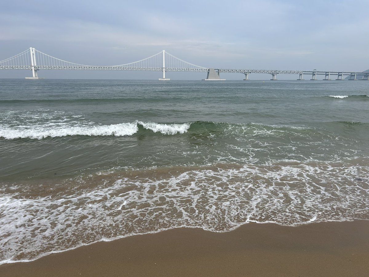 모찌롤 tweet media