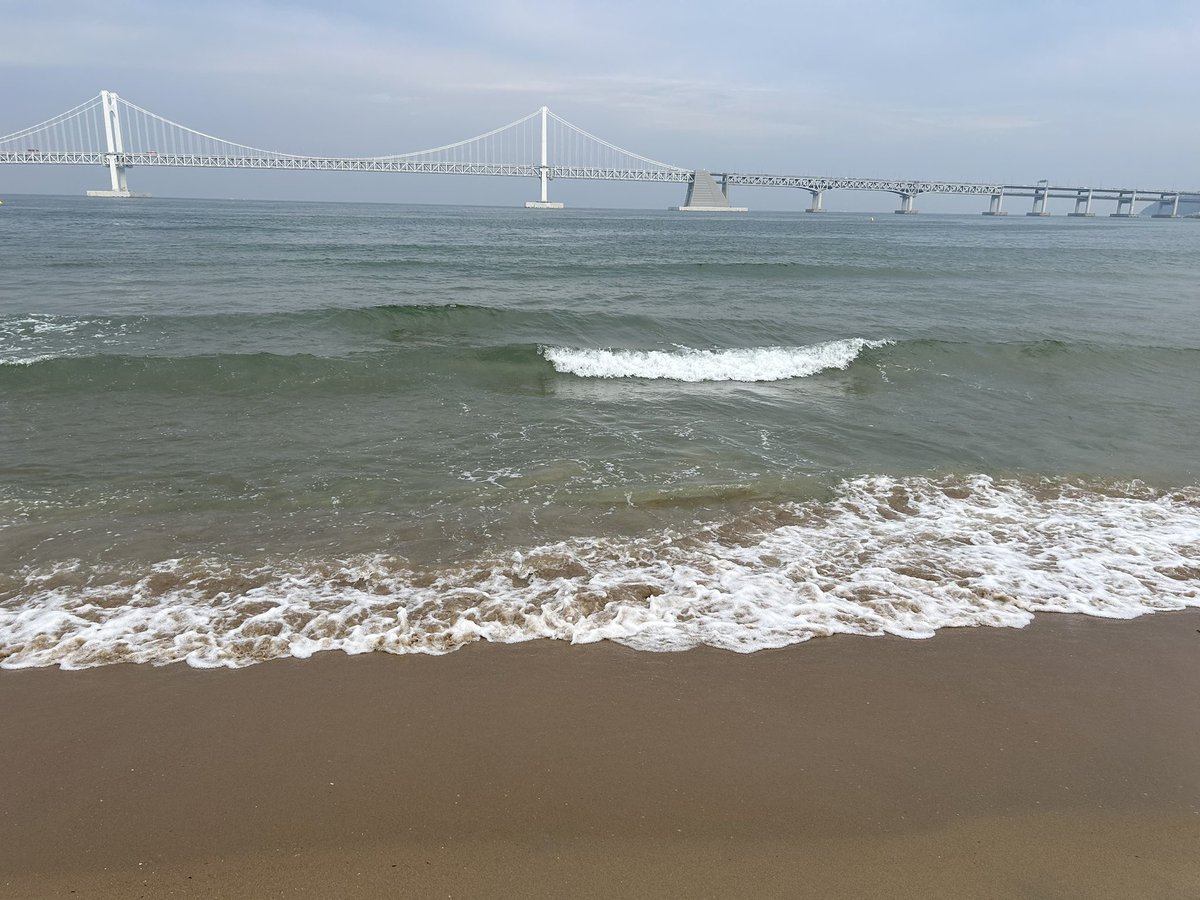 모찌롤 tweet media
