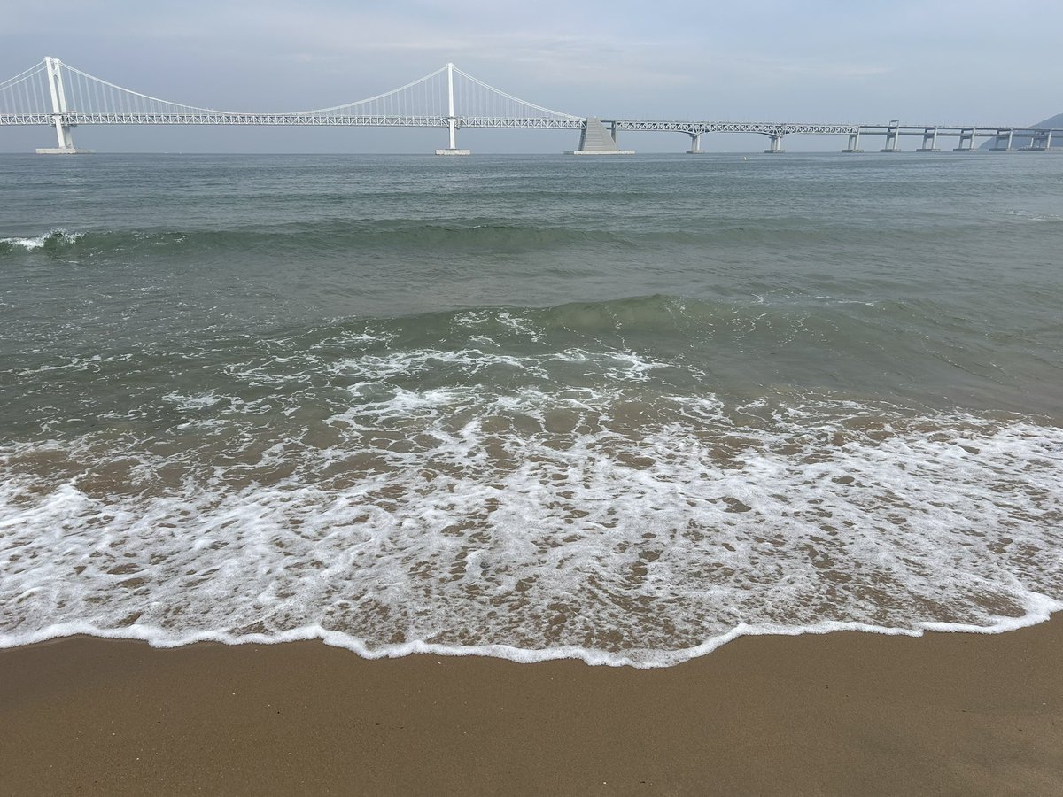 모찌롤 tweet media