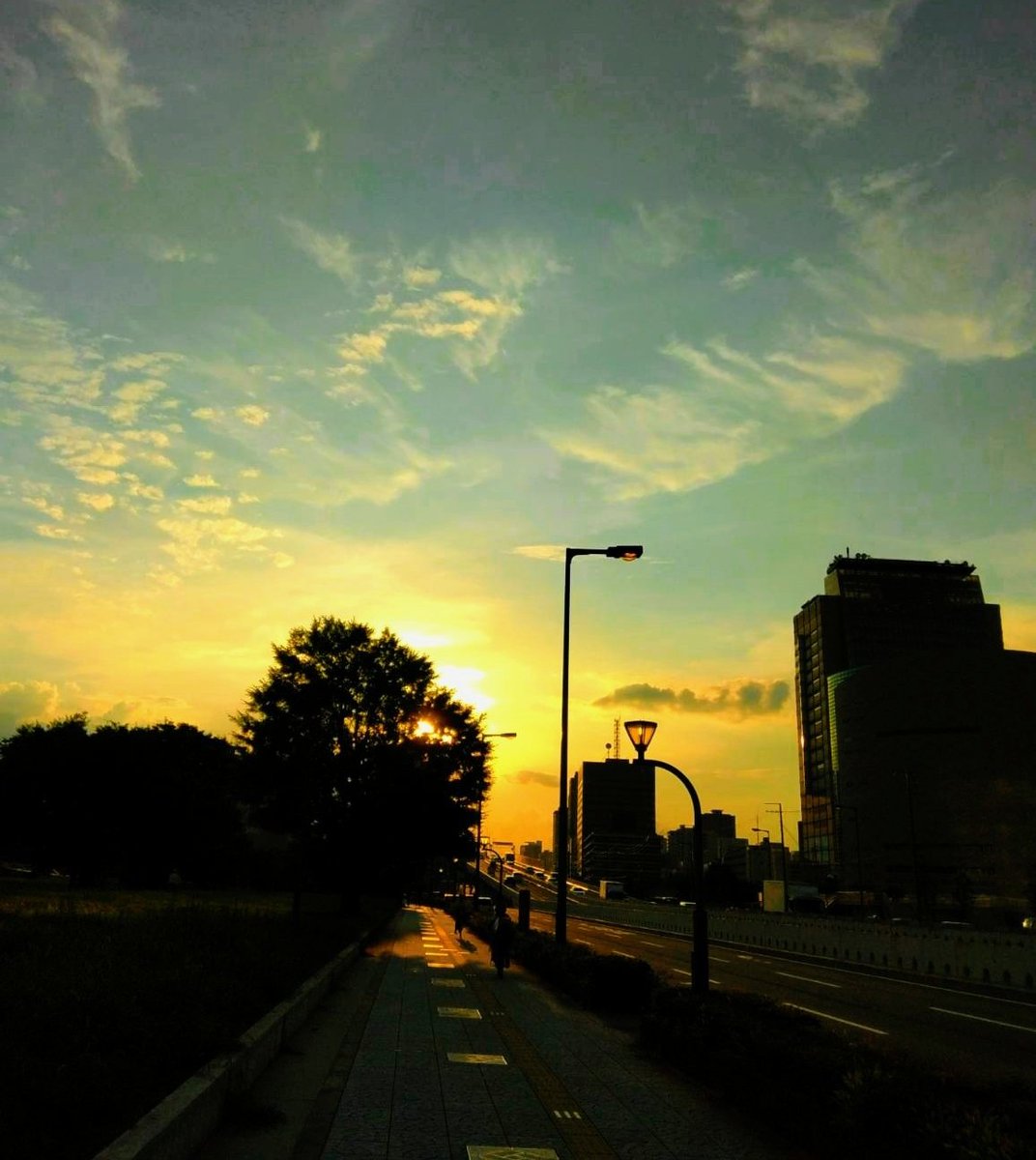 cocoro_sakuhin's tweet image. #photo