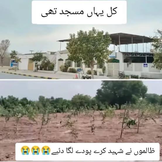 RAShahzaddk tweet media