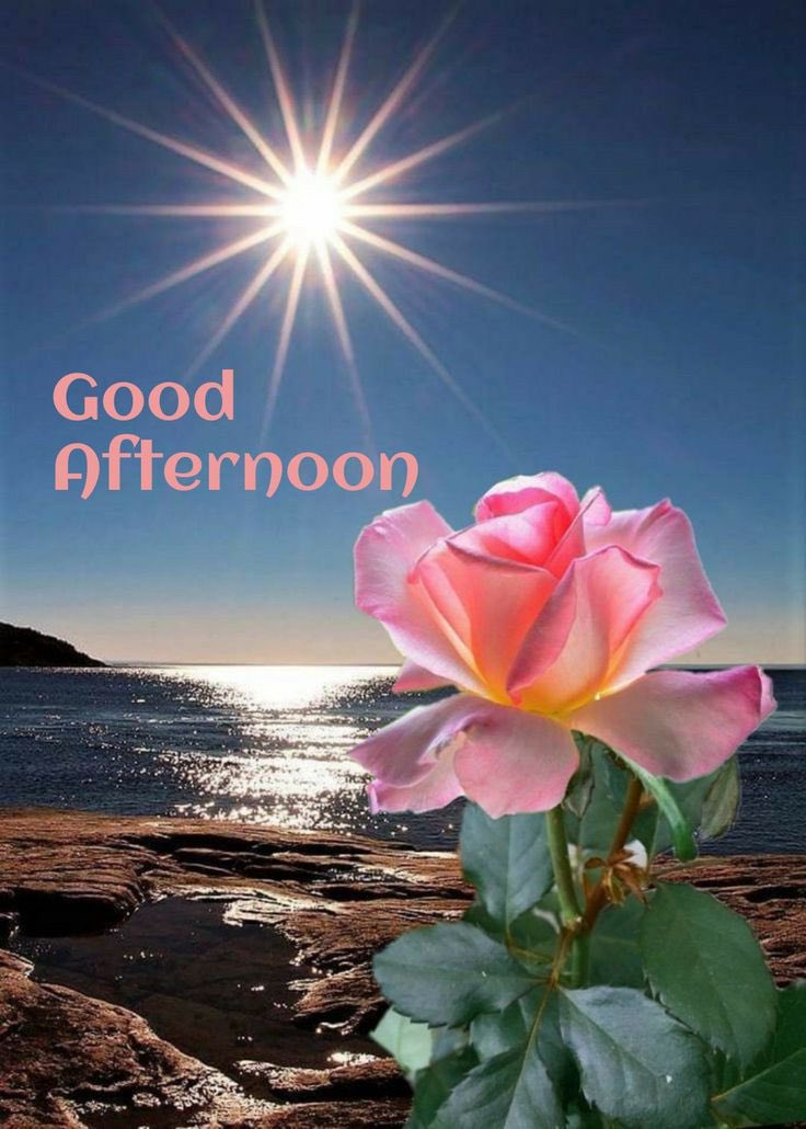 Syed Mukhtaj Ikpian tweet media