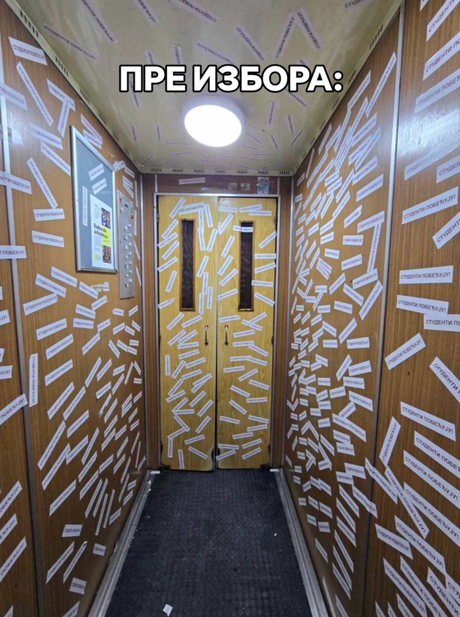 Višnja Petrović 🍒 tweet media