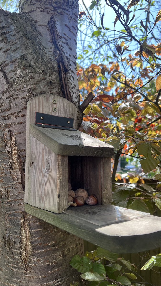 Millie 😸 📚 💚 🦔 tweet media
