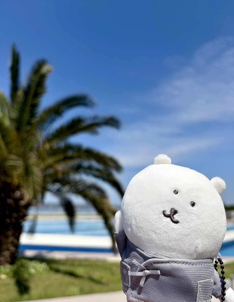 dohanmeat's tweet photo. GWを満喫しに来たくま https://t.co/fVbqsE8YEf