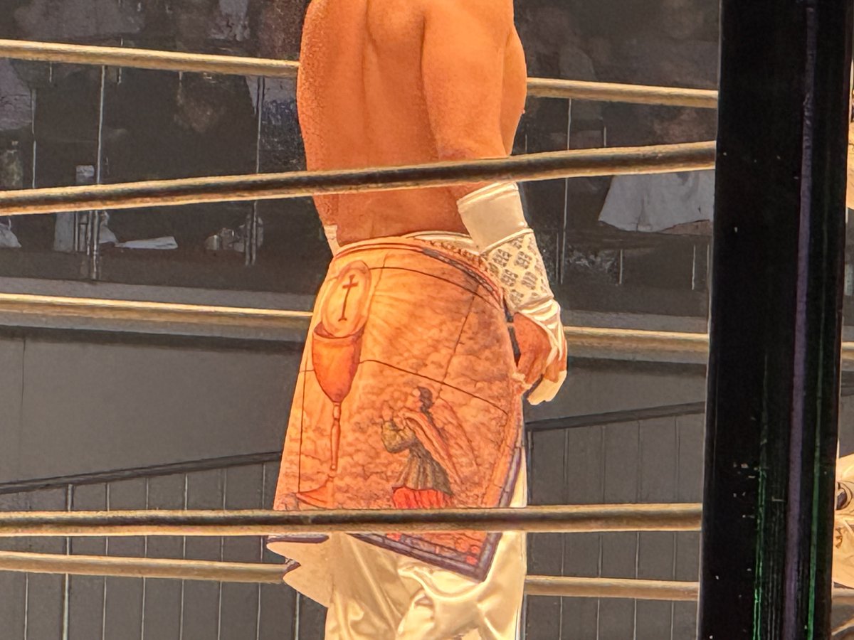 AMAKUSA殿

お腰の直垂が素敵でございまする。

#noah_ghc  #MAYHEM52