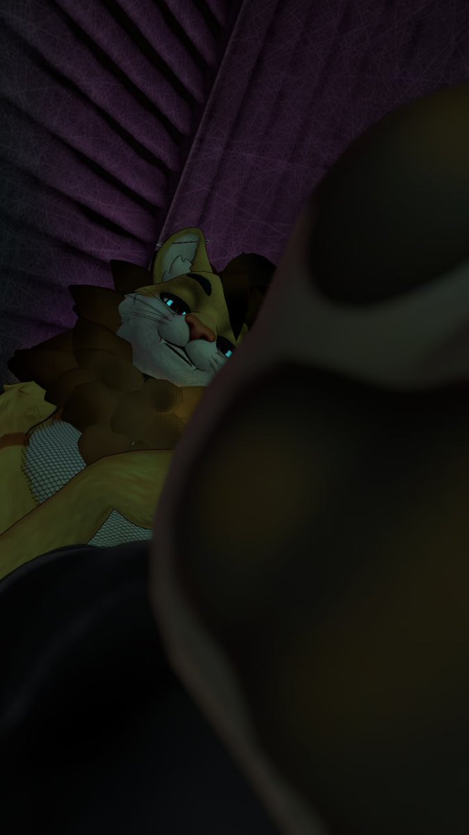 Feng Lion tweet media