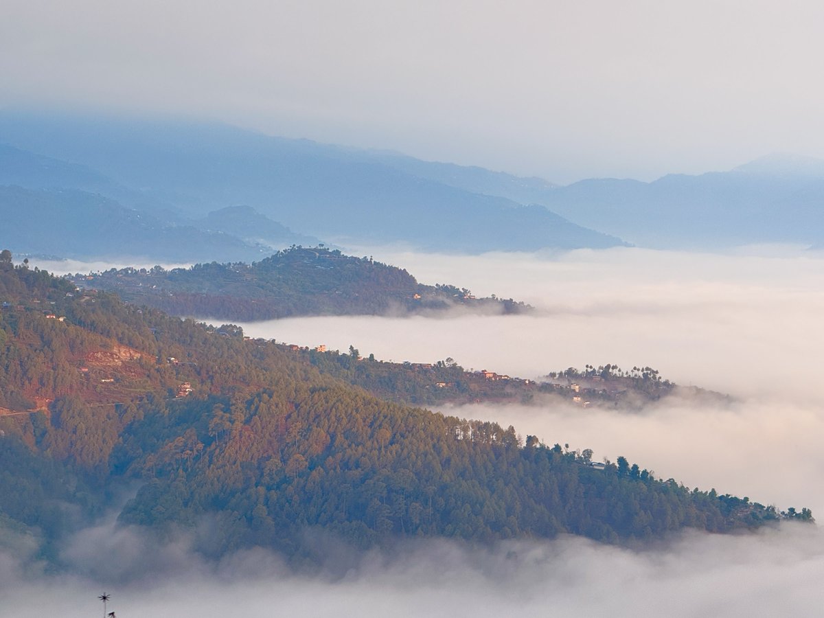 The Himalayan Times tweet media