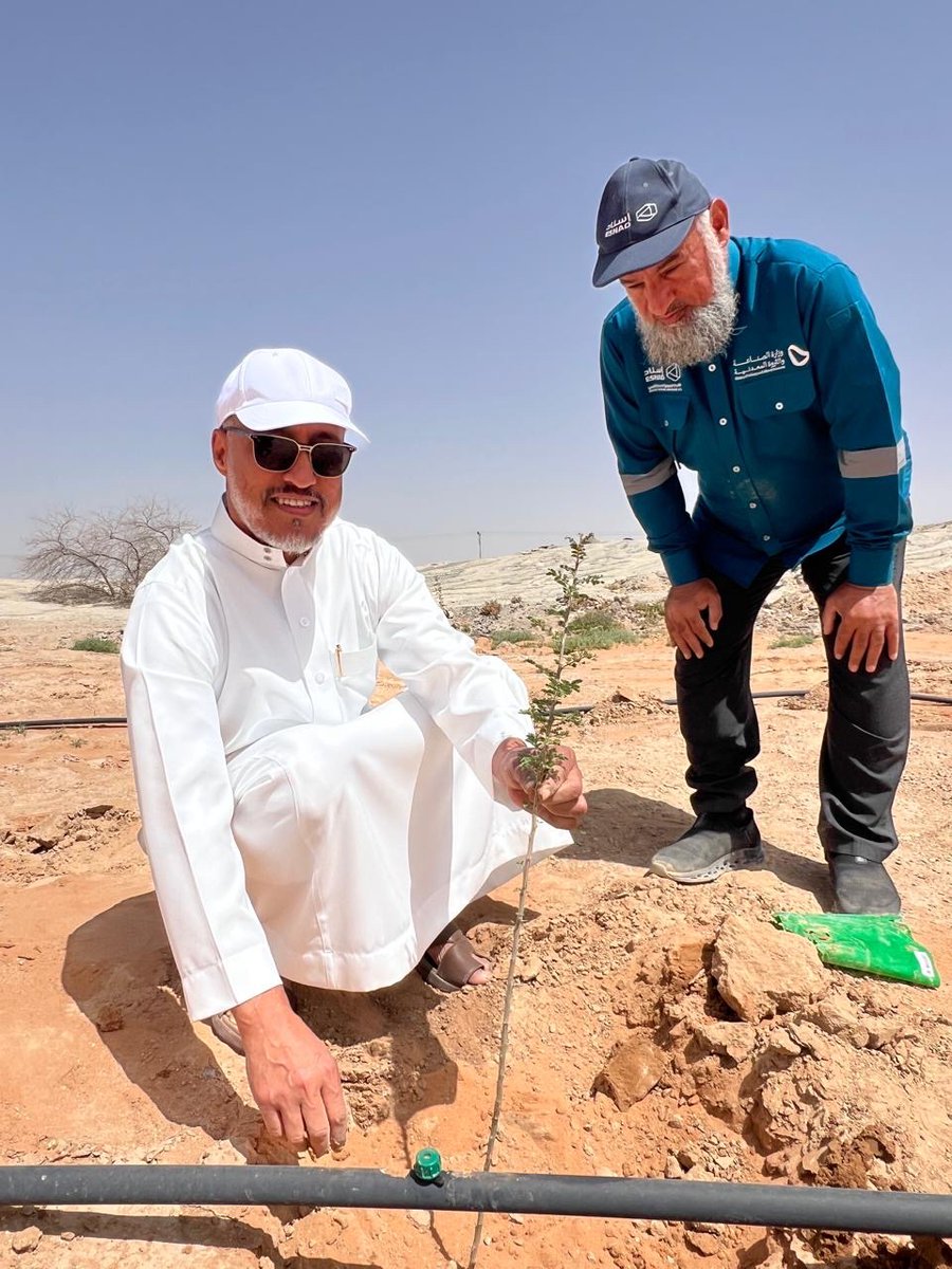 ALMISNID's tweet photo. جهود وزارة الصناعة والثروة المعدنية في الاستدامة البيئية
(ممثلة بالشركة السعودية لخدمات التعدين #إسناد)
• الموقع المستهدف: مواقع الرخص ومحيط مجمع #العوشزية التعديني جنوبي #عنيزة.
• الهدف المرحلي: زراعة 10,000 شجرة في المجمع.
• الأنواع المزروعة: (الطلح، القرض، الأثل)، وذلك بالتنسيق مع المركز الوطني لتنمية الغطاء النباتي لضمان ملاءمتها للبيئة المحلية.
• إنجازات القطاع التعديني:
• زراعة أكثر من 4 ملايين شجرة في مختلف مناطق المملكة.
• منها 1.9 مليون شجرة زُرعت خلال عام 2025م.
• التشريعات والمشاركة المجتمعية:
• إلزام كل مرخص بزراعة 3,000 شجرة في عموم المجمعات التعدينية بالمملكة.
• تفعيل دور المرخصين وتوسيع مشاركتهم كجزء من مسؤوليتهم المجتمعية ودعمهم للبيئة.