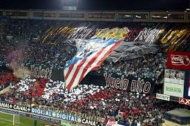 28038madriz tweet media