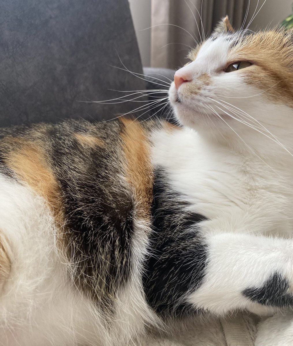Hera tweet media