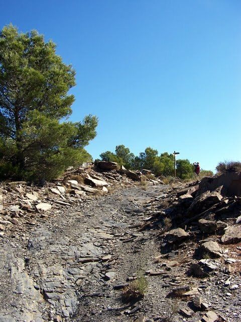 Senderos de Almería 🏴󠁧󠁢󠁥󠁮󠁧󠁿 tweet media
