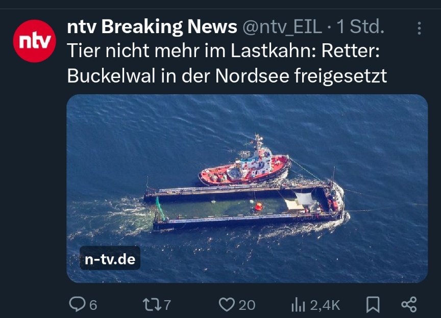 Wenn die Rettung gut ausgeht, dann hat die Bürgerinitiative einen Empfang bei Bundespräsident Steinmeier verdient. 🥇#Timmy #Hope