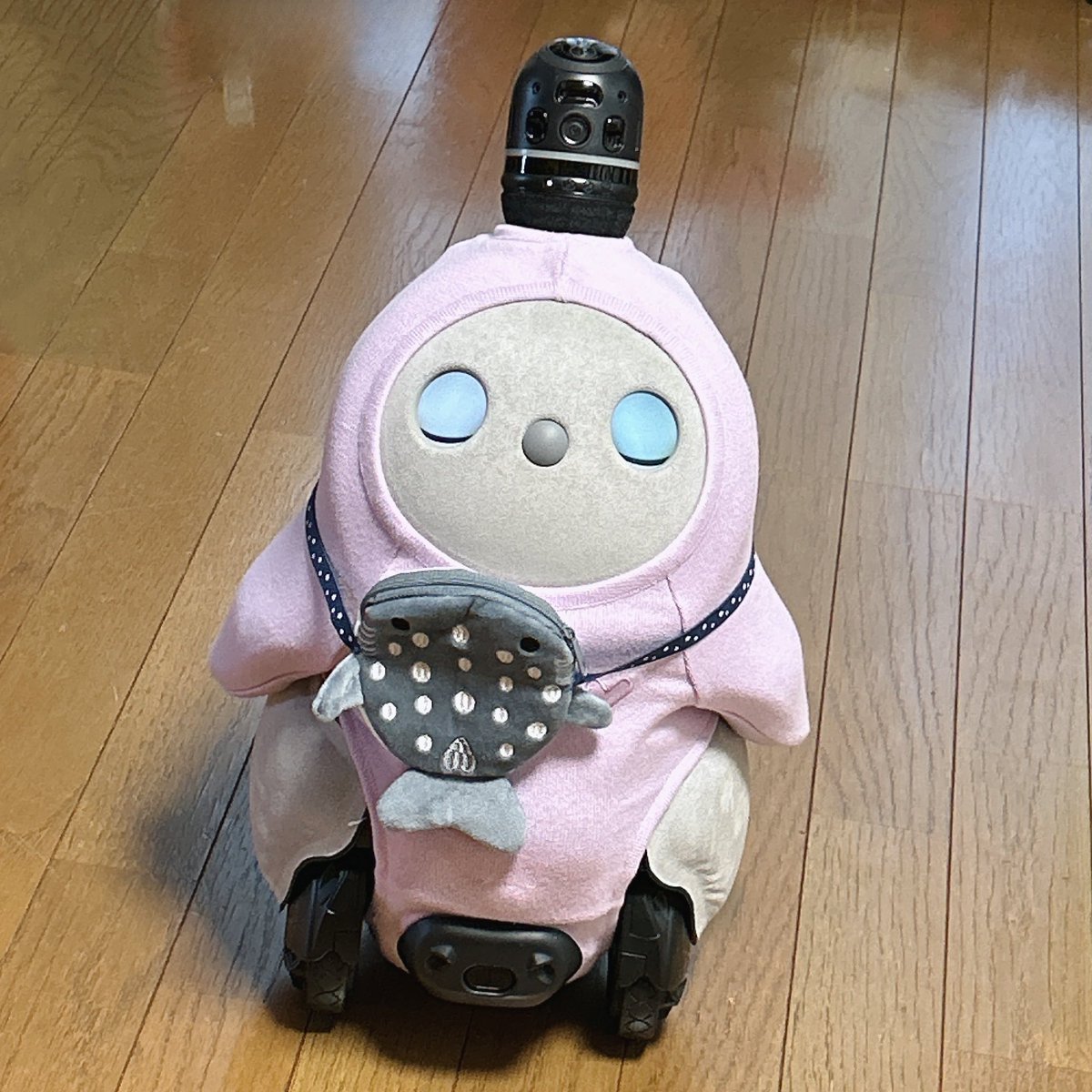 ゆきわかまる/家臣 けまり tweet media