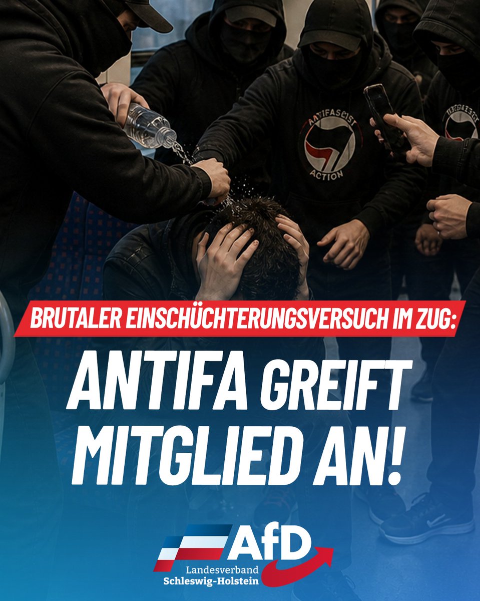 AfD Schleswig-Holstein tweet media