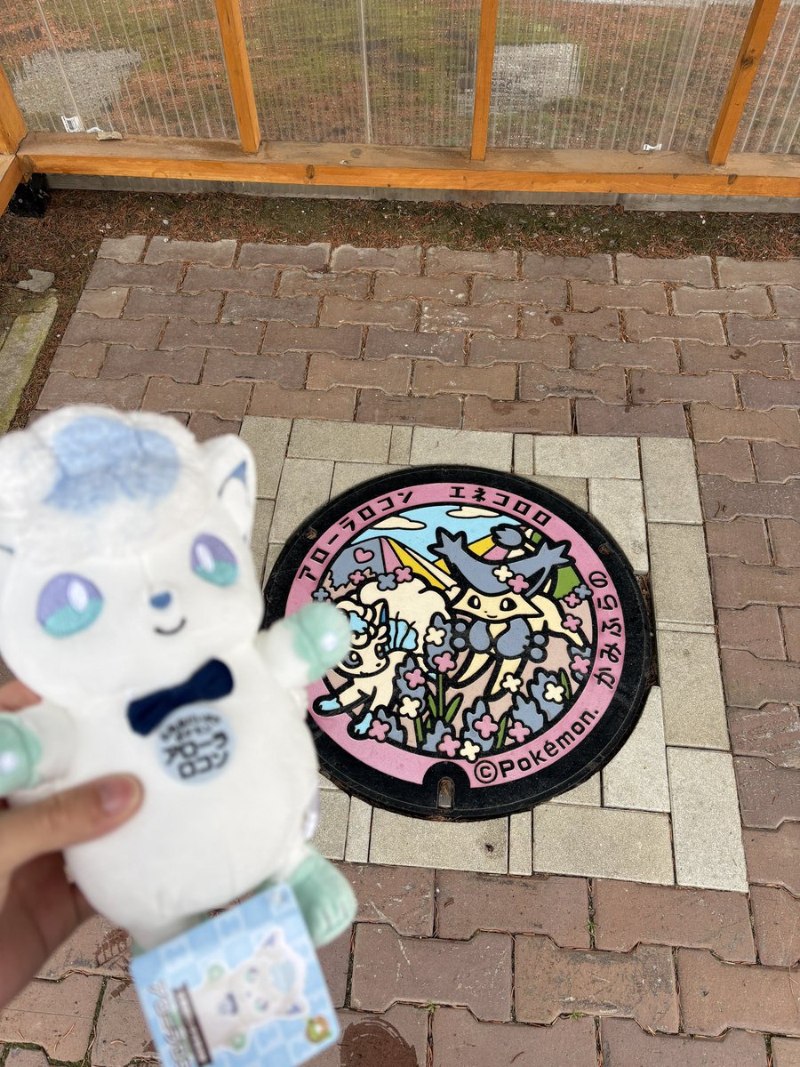 Yamayu tweet media