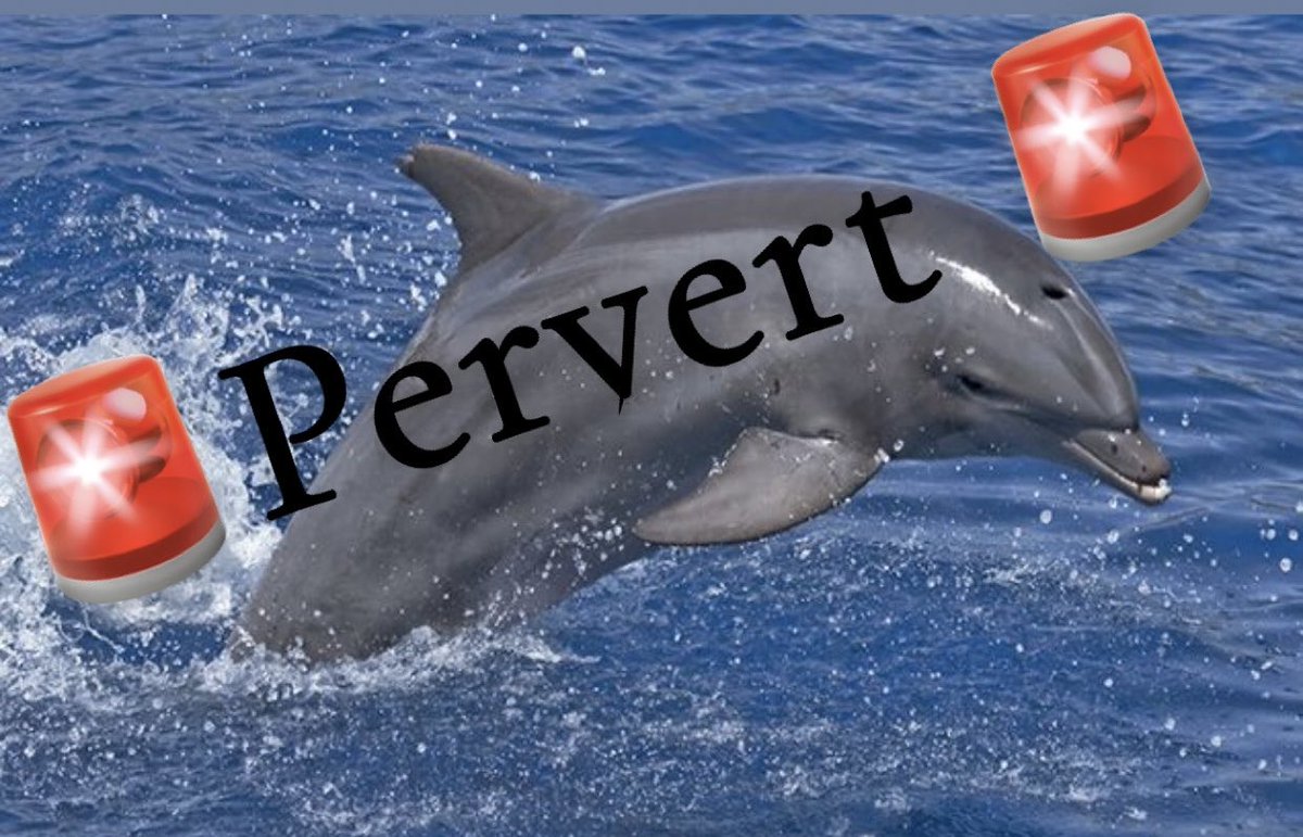 Pink Dolphin tweet media