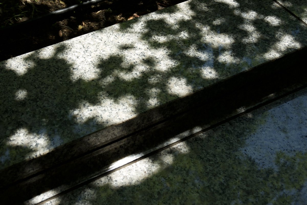 chouxcream74's tweet image. 晴れ28℃

今日は珍しい組み合わせ
PENTAX K200D
HD PENTAX-DA 16-85mm F3.5-5.6ED DC AW

K200DはほとんどMFでピント合わせ
結構ファインダーでピント面分かるもんだなと驚きつつ
CCDの発色を確かめられた１日

#pentax