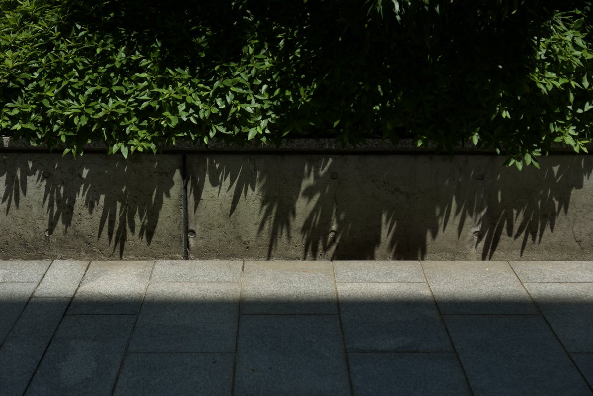 chouxcream74's tweet image. 晴れ28℃

今日は珍しい組み合わせ
PENTAX K200D
HD PENTAX-DA 16-85mm F3.5-5.6ED DC AW

K200DはほとんどMFでピント合わせ
結構ファインダーでピント面分かるもんだなと驚きつつ
CCDの発色を確かめられた１日

#pentax