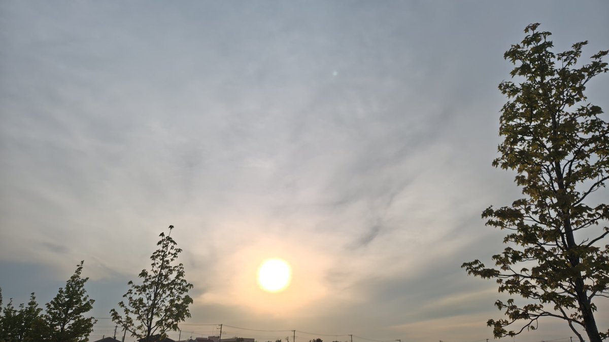 よっすぃ～•*¨*•.¸¸☆*･ﾟ tweet media