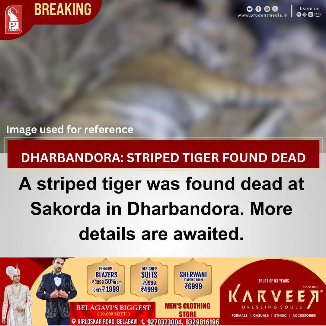 prudentgoa's tweet image. A striped tiger was found dead at Sakorda in Dharbandora. More details are awaited.

#Goa #BreakingNews #Tiger #Goanews #tigerfounddead