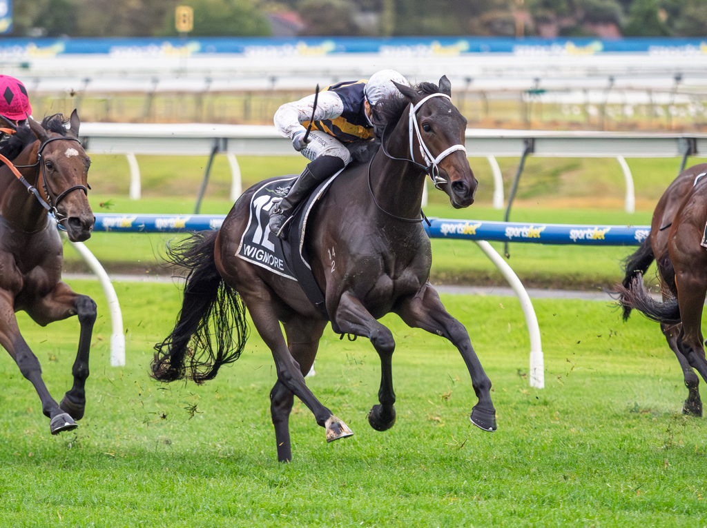 ThoroughbredNEWS tweet media