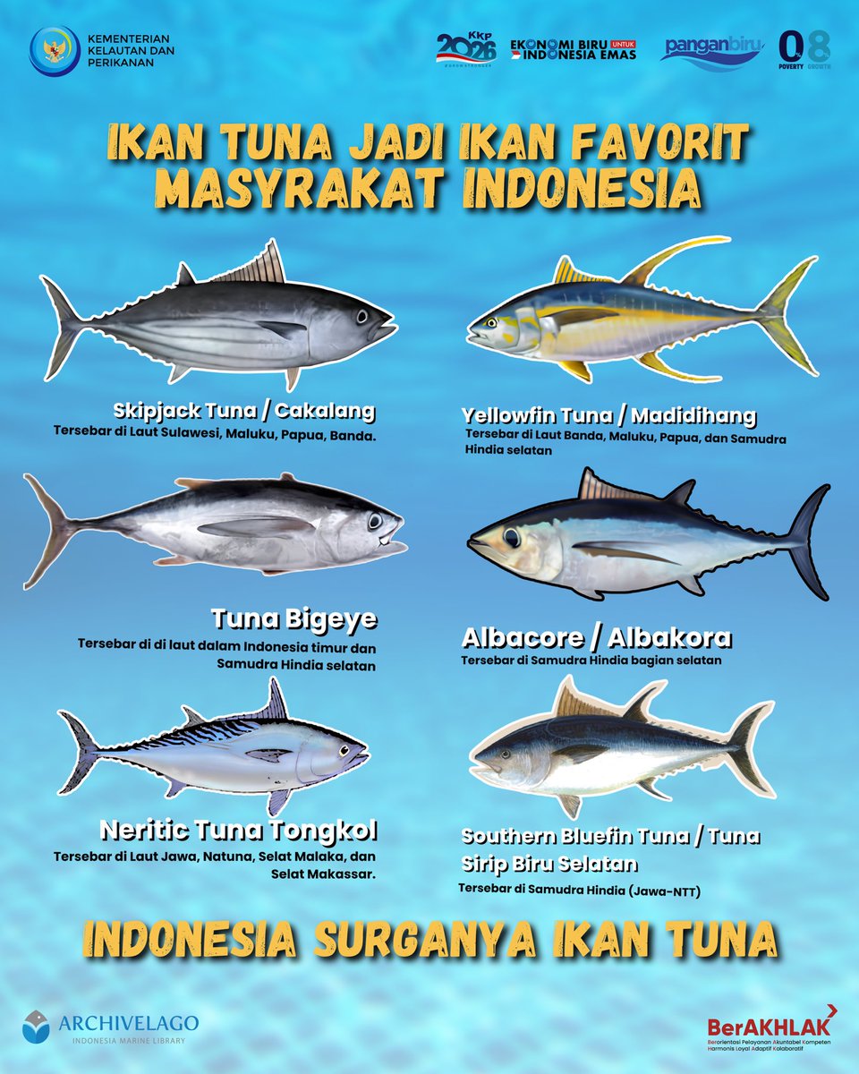 Archivelago - Indonesia Marine Library tweet media