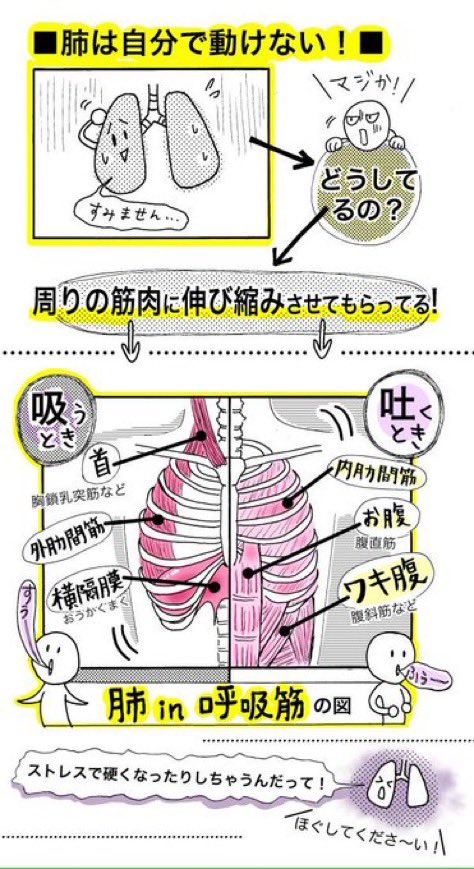 【#肩こり と #気圧 のだるさに 肋骨まわりほぐし】
先日ヨガで先生が「雨が続いたり気圧変化の影響で、呼吸がしづらかったり浅くなってる人が多いです」と
"肋骨"まわりをほぐす&深呼吸を意識したポーズをしてました
このストレッチは肩コリもほぐれて呼吸スッキリ✨一石二鳥です❗️ #呼吸筋