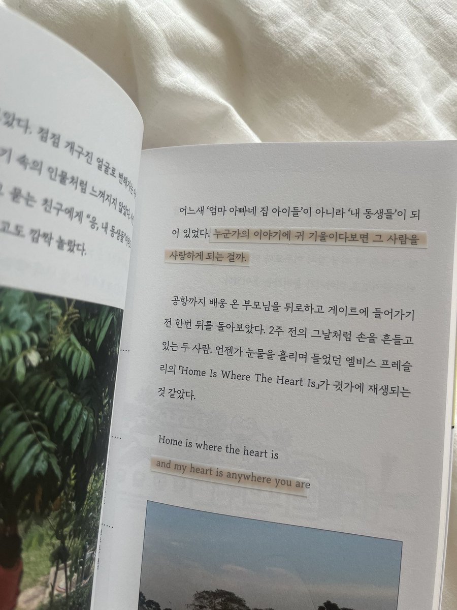 뿍 tweet media