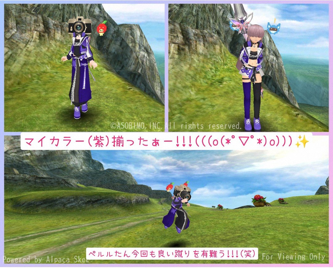 アルコル・P tweet media
