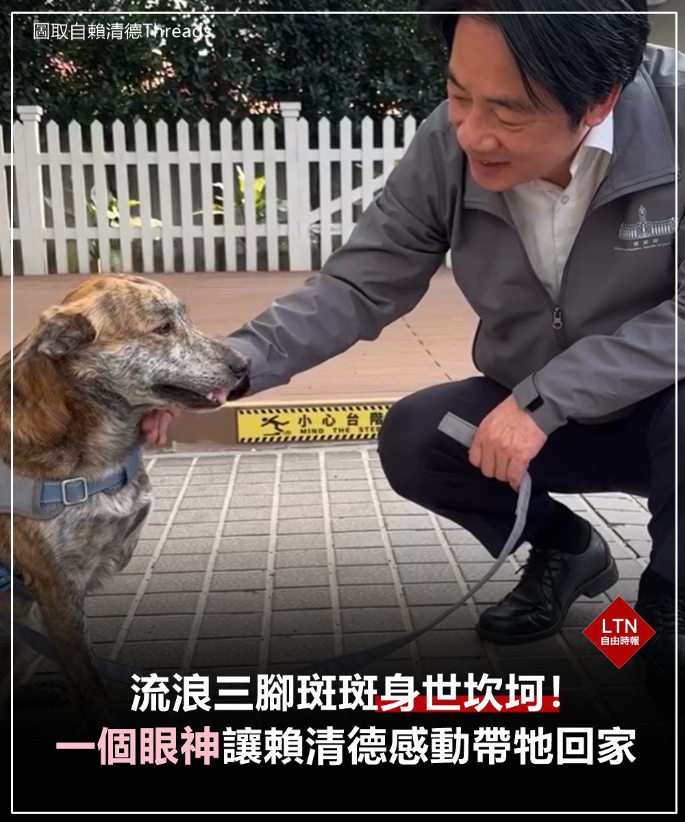 自由時報 tweet media