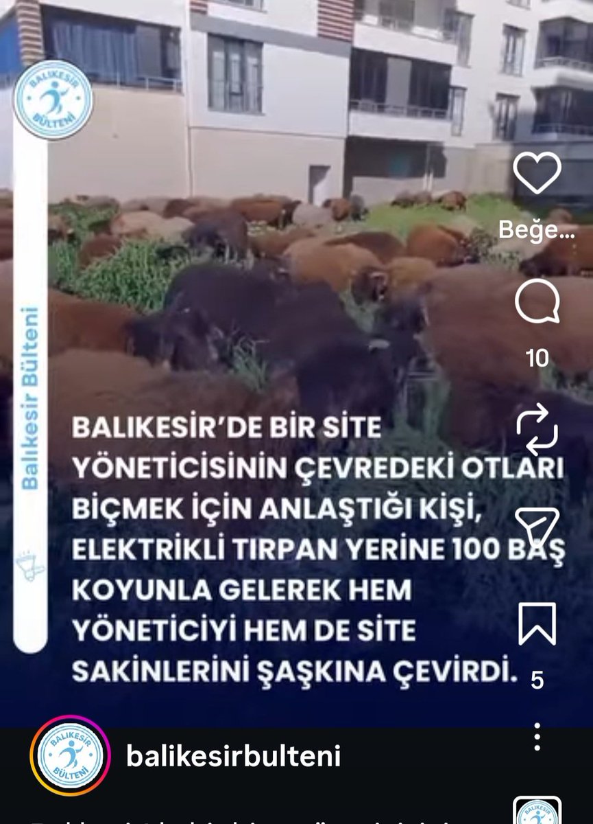 Zihin GeZGini tweet media