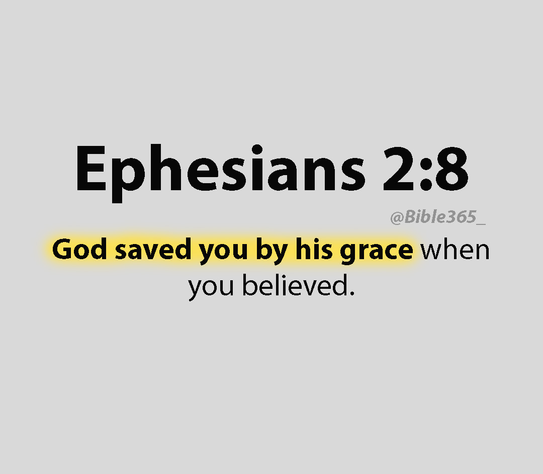 Bible 365 tweet media