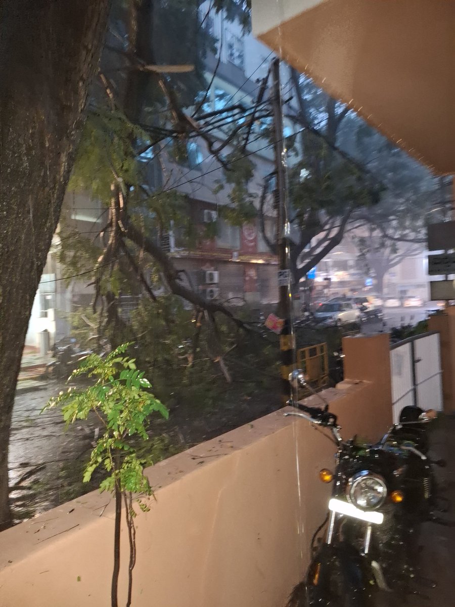 SathyanarayanP9's tweet photo. @ICCCBengaluru branch has fallen and blocking road and partially hanging on electric pole after damaging it.
Given complaint yesterday at 5.
No response https://t.co/UimHm1JWkH