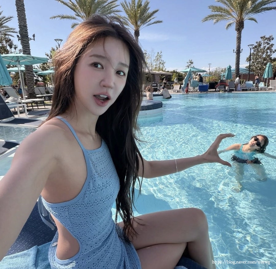 나무처럼 tweet media