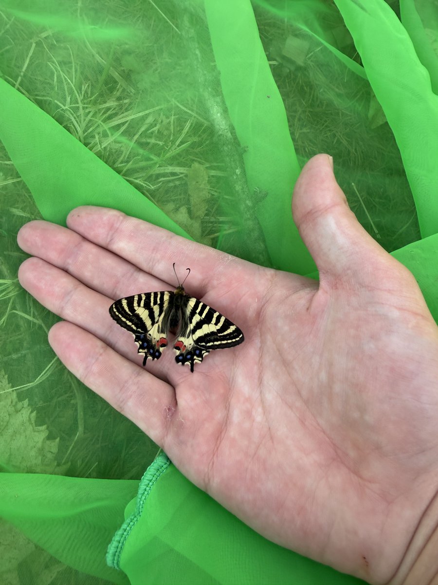 勝った