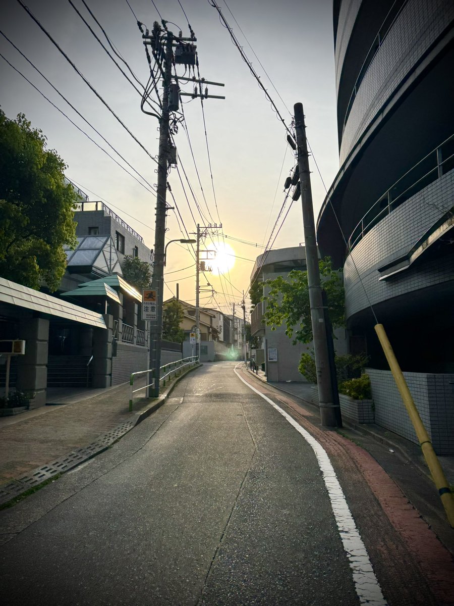 グリップ tweet media